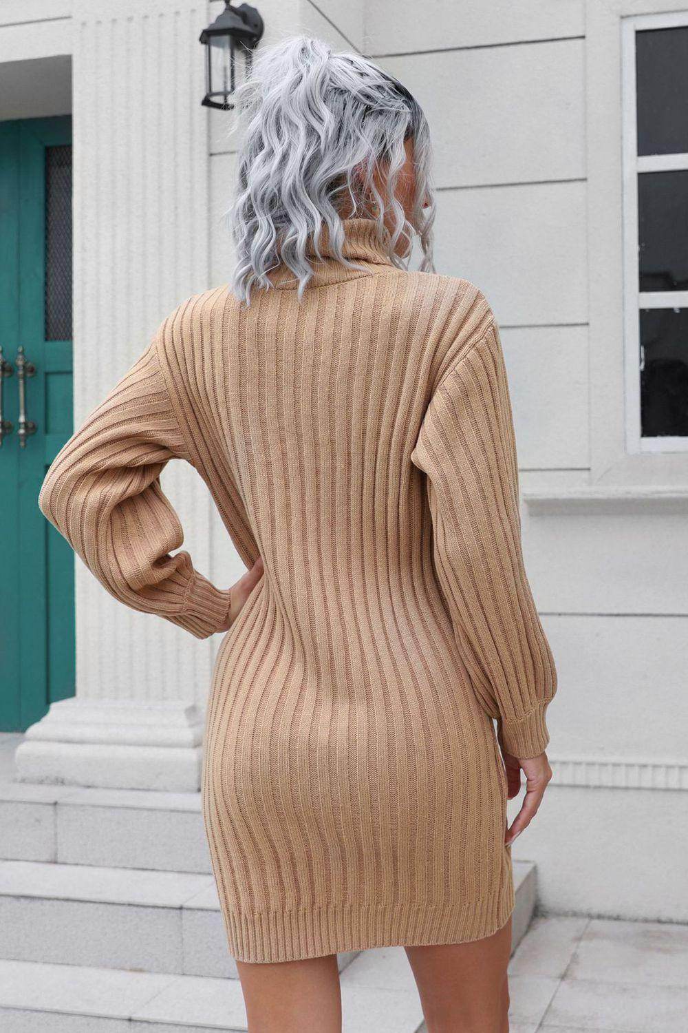 Ribbed Turtle Neck Long Sleeve Mini Sweater Dress for Women - Selvanelle
