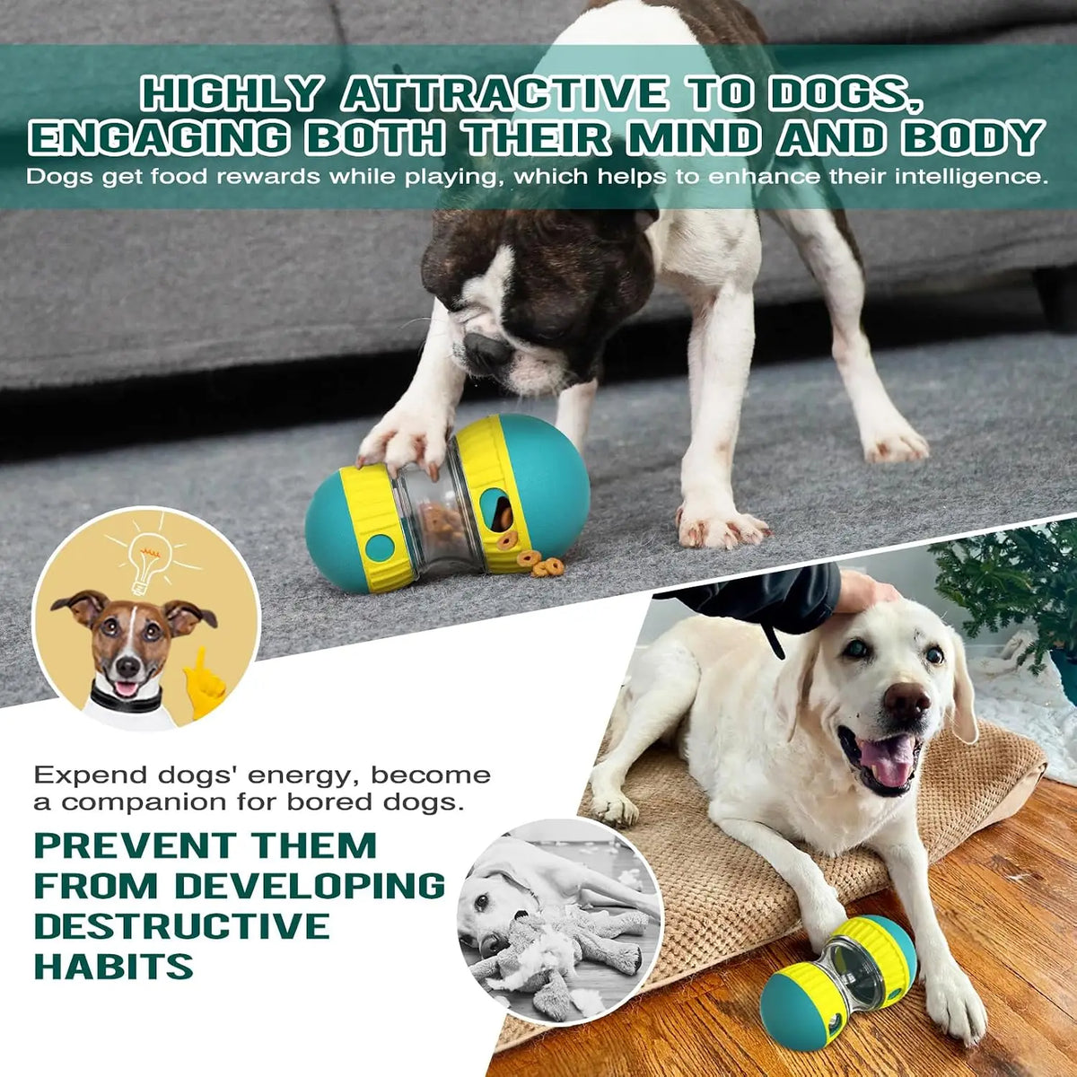 Pet Food Dispenser,Adjustable Distribution Ball,Sturdy Slow Feeding Puppy Reinforcement Training Toy,Pet Interactive Chasing Toy