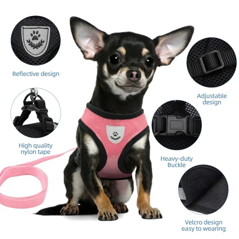 pet supplies
