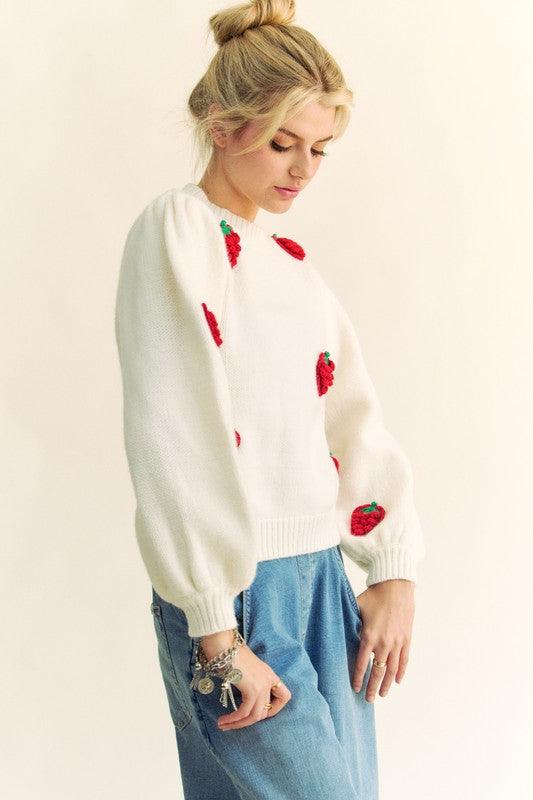 Davi & Dani Crochet Strawberry Round Neck Sweater for Women