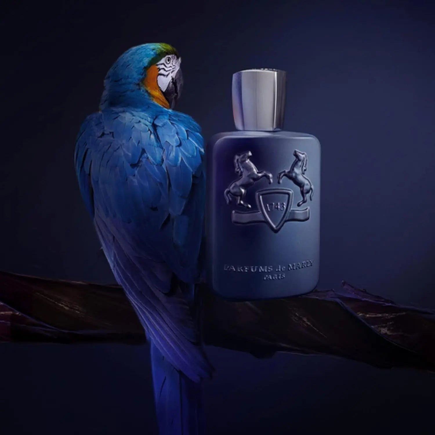 Parfums De Marly Layton Unisex Edp – Apple, Lavender, Vanilla Woody Aroma, 4.2 Fl oz / 125 ml