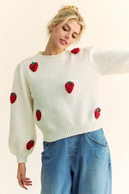 Davi & Dani Crochet Strawberry Round Neck Sweater for Women