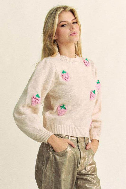 Davi & Dani Crochet Strawberry Round Neck Sweater for Women - Selvanelle