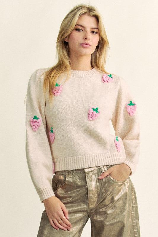 Davi & Dani Crochet Strawberry Round Neck Sweater for Women